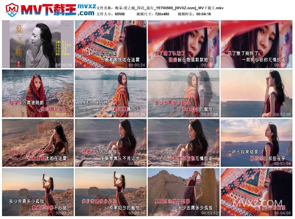 梅朵-爱之痛_国语_流行_YE700569